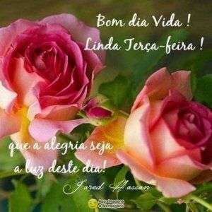 Bom dia vida