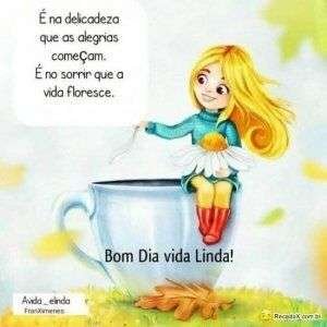 Bom dia vida linda