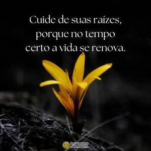 Cuide de suas raízes