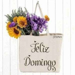 Feliz domingo