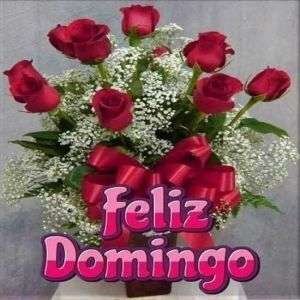 Feliz domingo