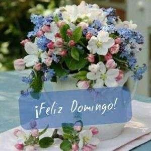 Feliz domingo
