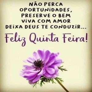 Feliz quinta-feira