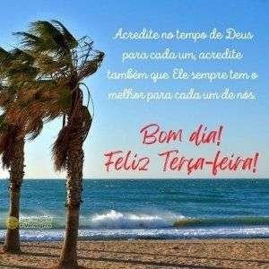 Feliz terça-feira