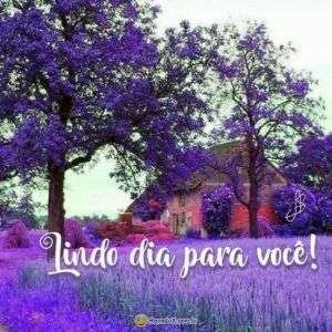 Lindo dia para você