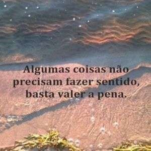 Não precisa fazer sentido