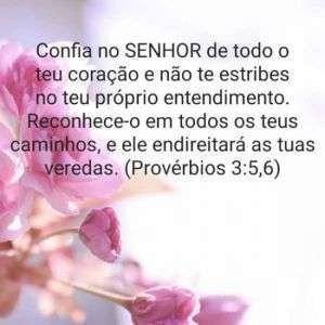Provérbios 3:5,6