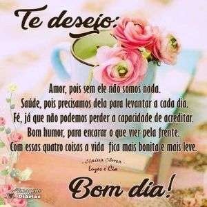 Te desejo bom dia