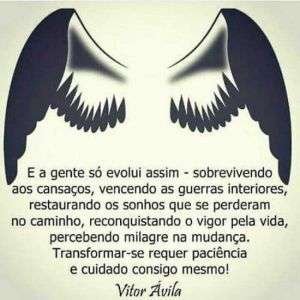 Transformar requer paciência