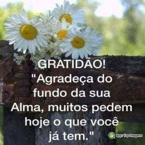 Agradeça do fundo da sua alma