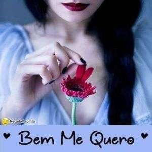 Bem me quero
