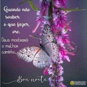 Boa noite