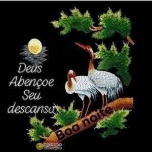 Boa noite