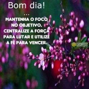 Bom dia