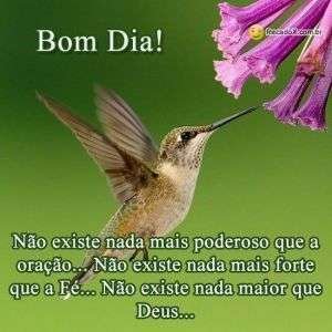 Bom dia