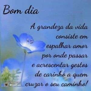 Bom dia