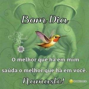 Bom dia