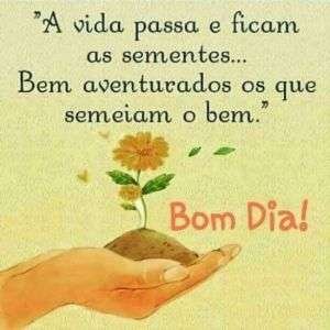 Bom dia