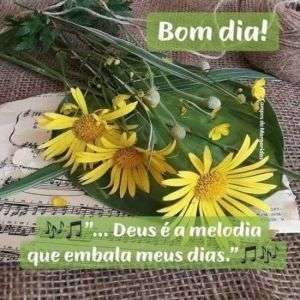 Bom dia