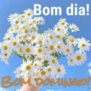 Bom dia de domingo