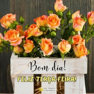 Bom dia de terça-feira