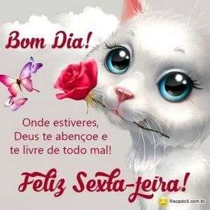 Bom dia e feliz sexta-feira