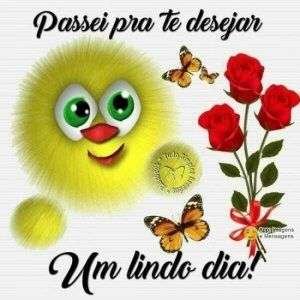 Desejar um lindo dia