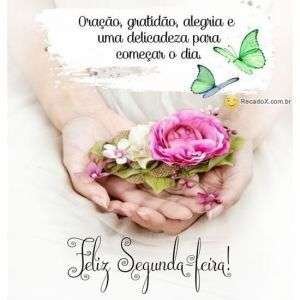 Feliz segunda-feira