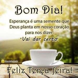Feliz terça-feira