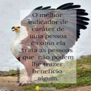 Indicador de caráter