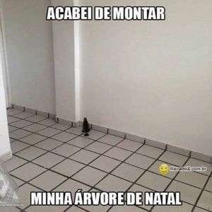 Minha árvore de natal