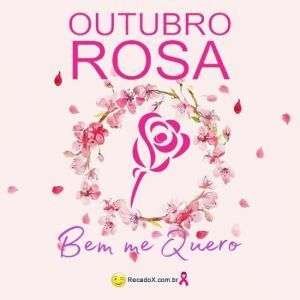 Outubro rosa