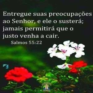 Salmos 55.22