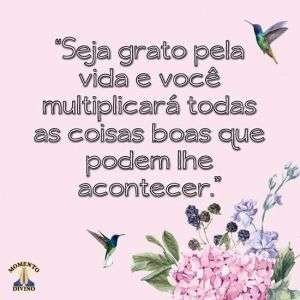 Seja grato pela vida