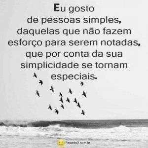 Simples e especiais