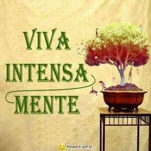Viva intensamente