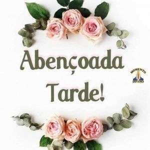 Abençoada tarde
