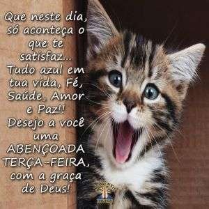 Abençoada Terça-feira