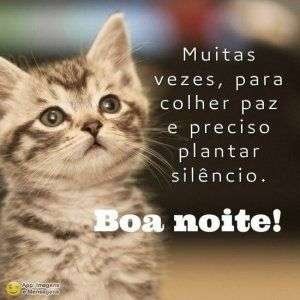 Boa noite