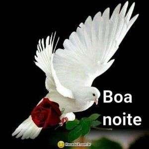 Boa noite