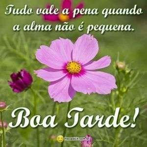Boa tarde
