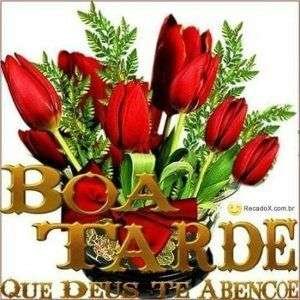 Boa tarde
