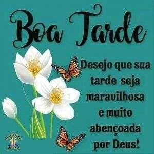 Boa tarde