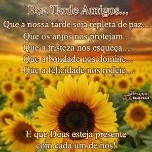 Boa tarde amigos