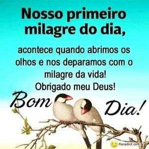 Bom dia