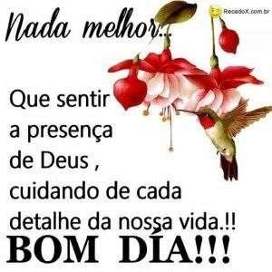 Bom dia