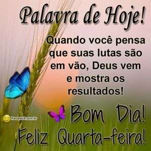 Bom dia e feliz quarta-feira