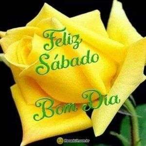 Bom dia e feliz sábado