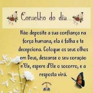 Conselho do dia