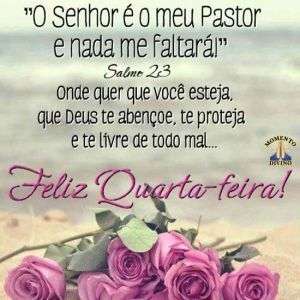 Feliz quarta-feira